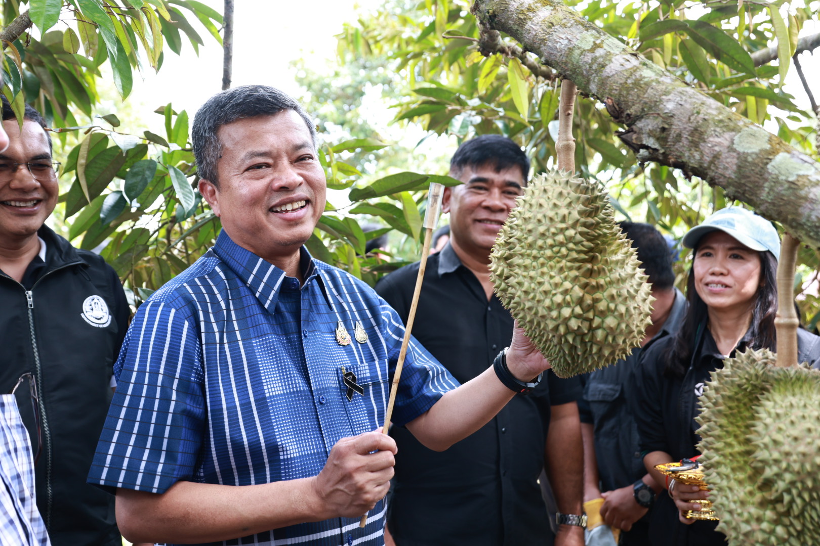 ผู้ว่าฯ สงขลา ตัดทุเรียนมีดแรก ณ สวนทุเรียนต้นแบบ อาจารย์ประกอบ อำเภอสะเดา เปิดฤดูกาลผลไม้คุณภาพ เดินหน้าป้องกันทุเรียนอ่อน สร้างความเชื่อมั่นผู้บริโภค